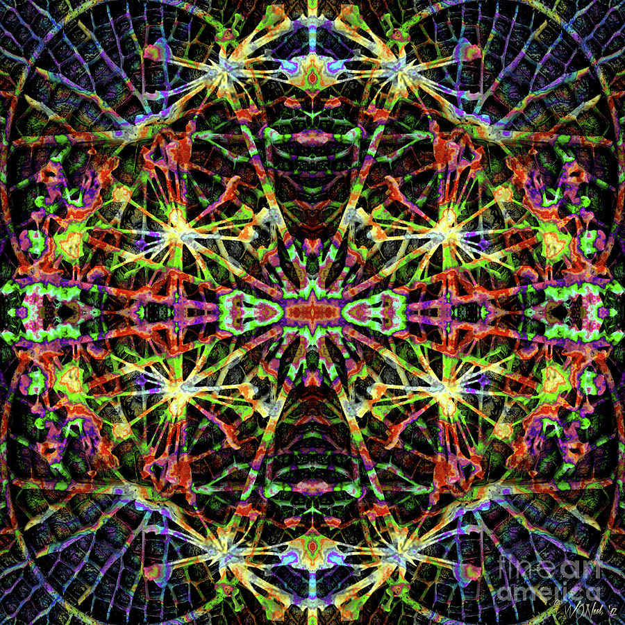 Pattern Digital Art - Fractal Harmony 1d by Walter Neal