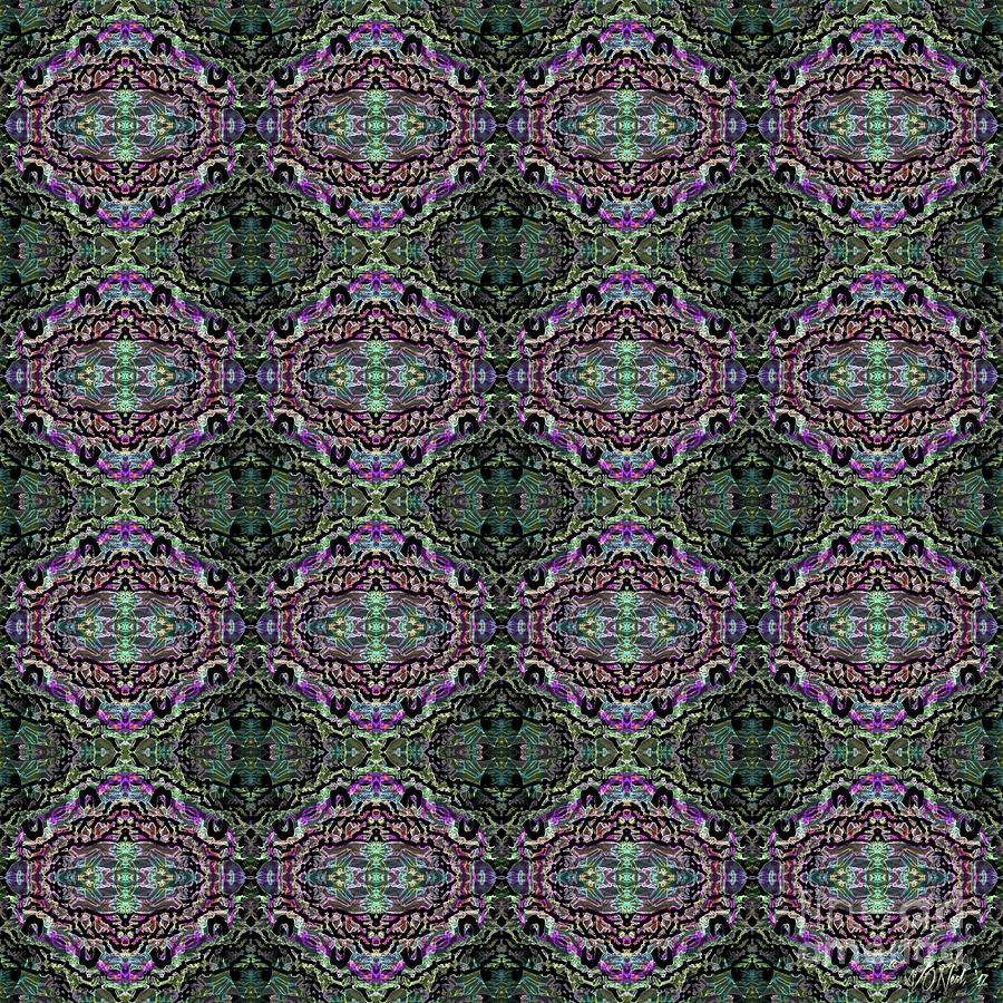 Pattern Digital Art - Fractal Anomaly No. 3 by Walter Neal