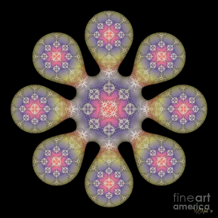 Pattern Digital Art - Fractal Blossom 1 by Walter Neal