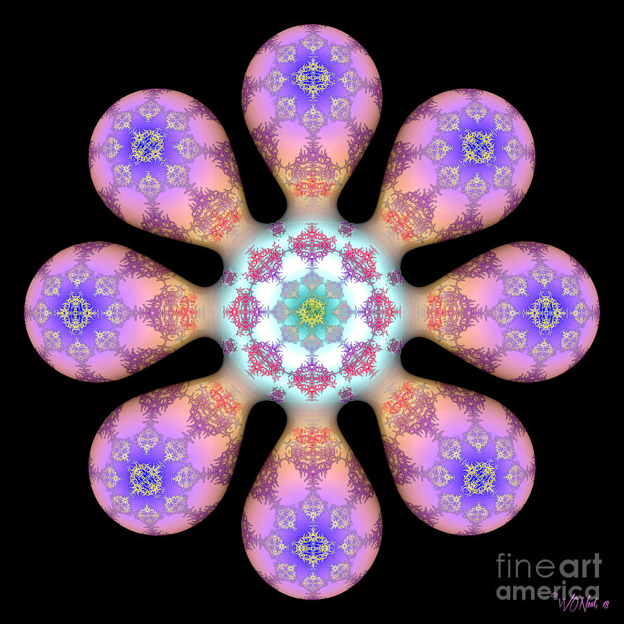Fractals Digital Art - Fractal Blossom 2 by Walter Neal