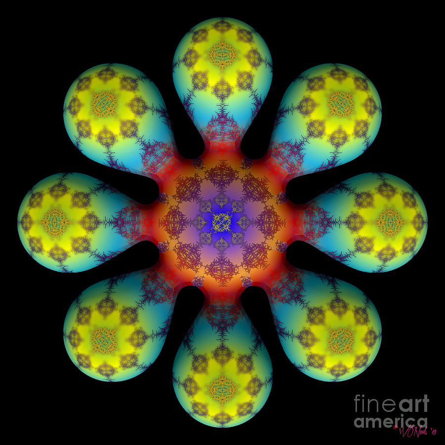 Pattern Digital Art - Fractal Blossom 4 by Walter Neal