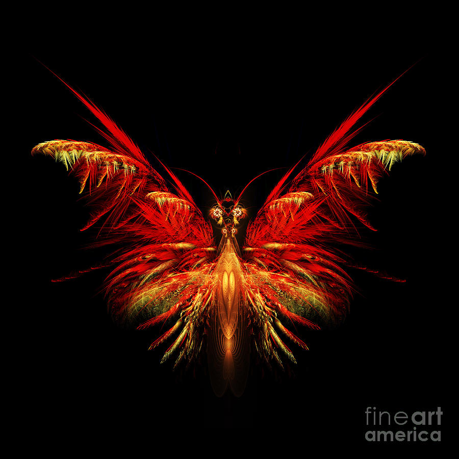 Butterfly Digital Art - Fractal Butterfly by John Edwards