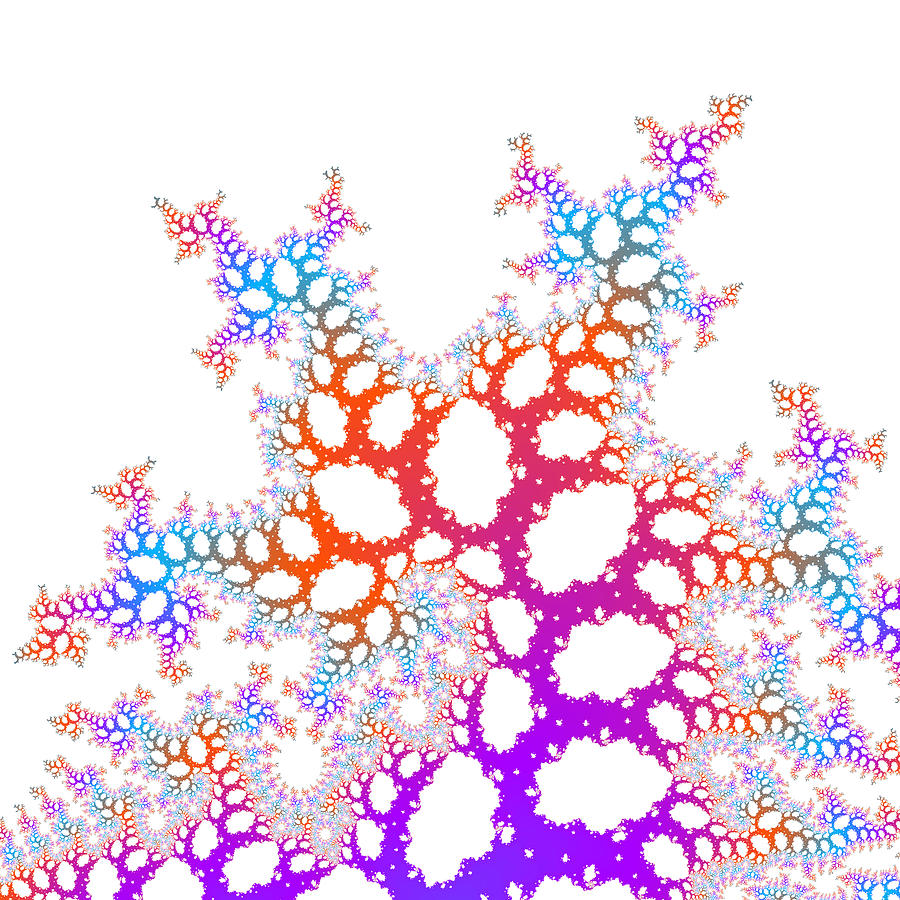 Fractal Coral Digital Art by Blair Gibb
