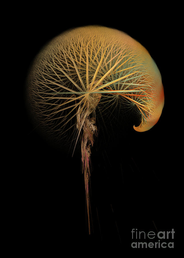 Fractal dandelion Digital Art by Justyna Jaszke JBJart