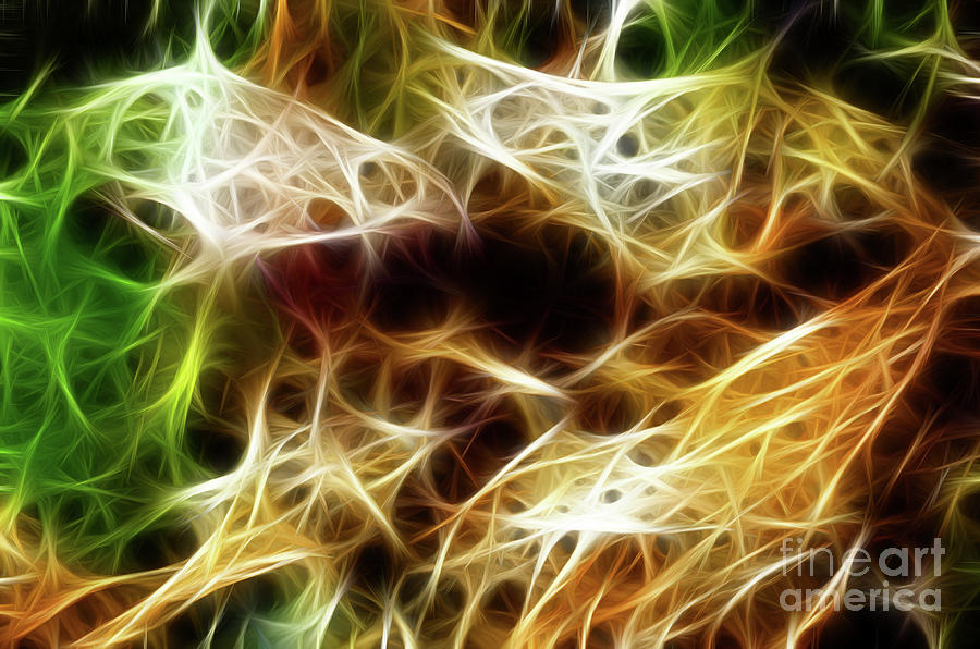 Abstract Photograph - Fractal Design 1 by Bob Christopher