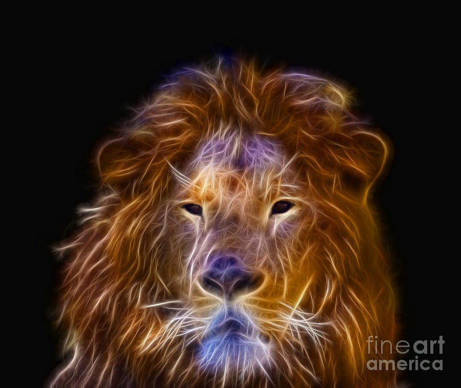 Wildlife Photograph - Fractal design of Lion or Panthera leo with beautiful eyes and p by Geet Anjali