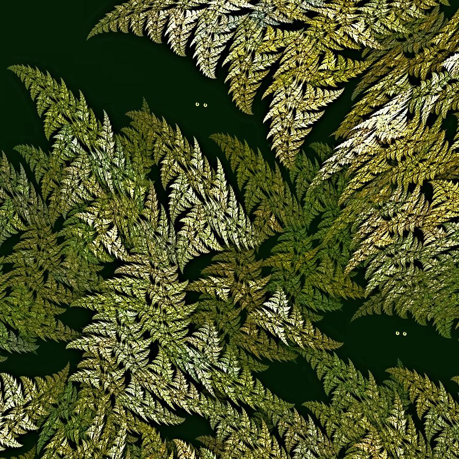 Fractal Ferns Queensland Digital Art by Doug Morgan