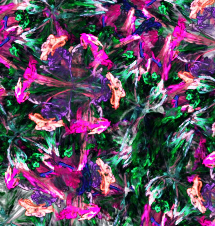 Flower Digital Art - Fractal Floral Riot by David Lane
