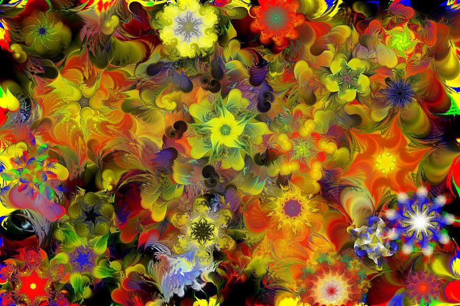 Fractal Floral Study 10-27-09 Digital Art by David Lane