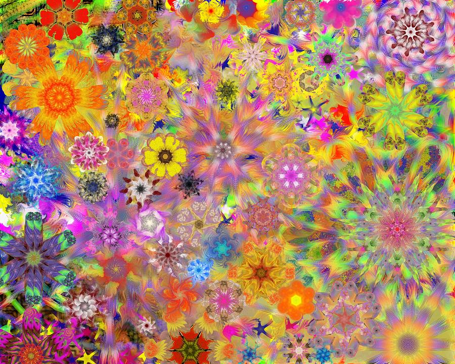 Fractal Floral Study 3 Digital Art by David Lane