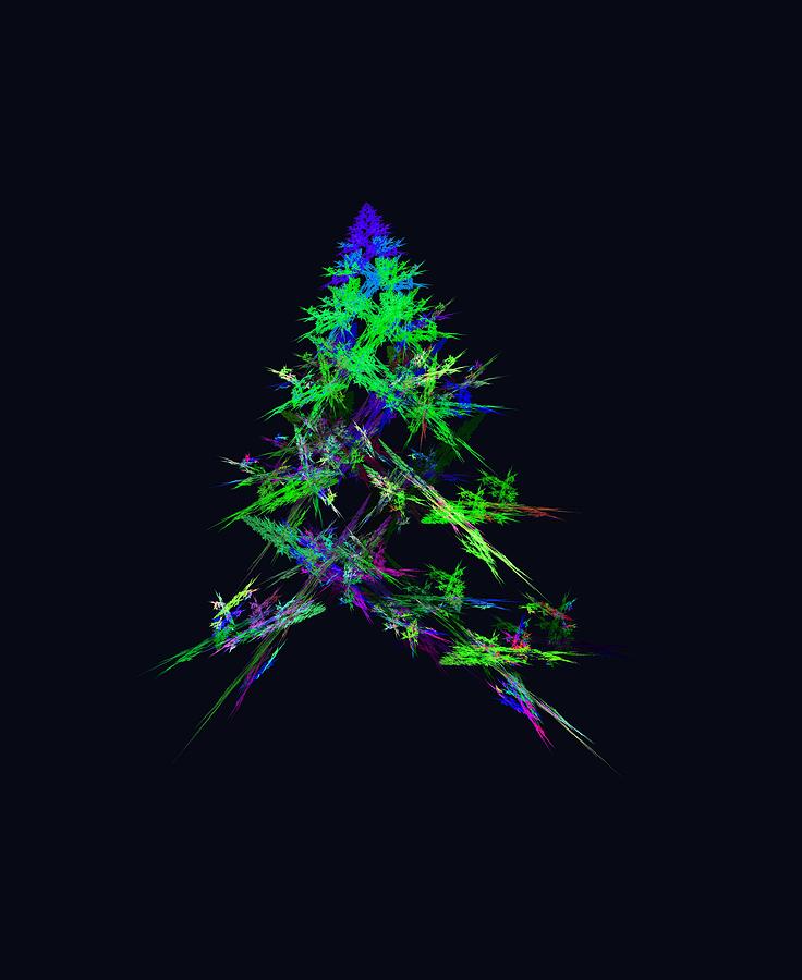 Fractal - Green Christmas Tree Photograph by Susan Savad