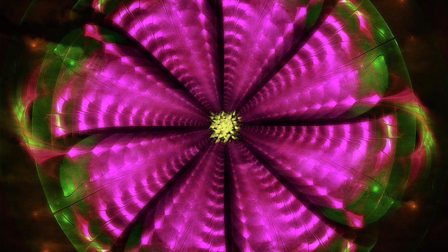 Fractal in Floral Digital Art by Rhonda Barrett