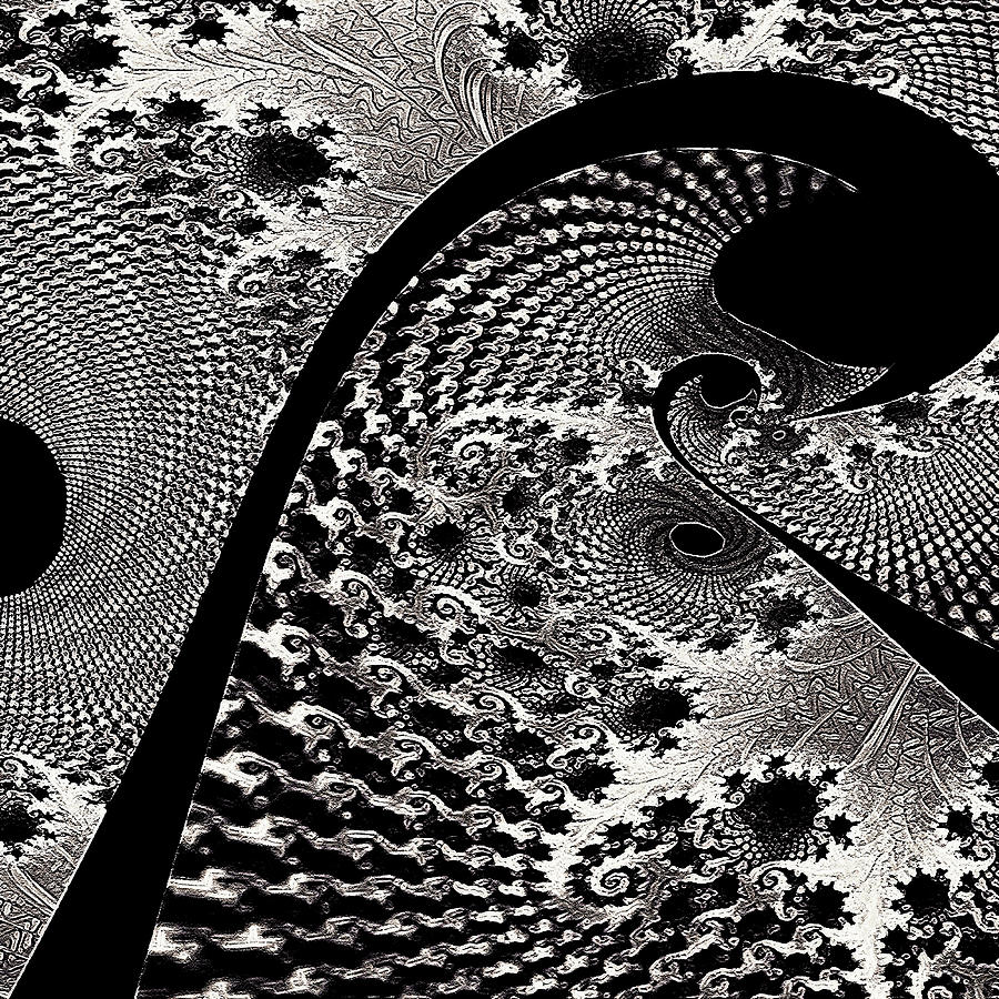 Fractal Japonica Digital Art by Susan Maxwell Schmidt