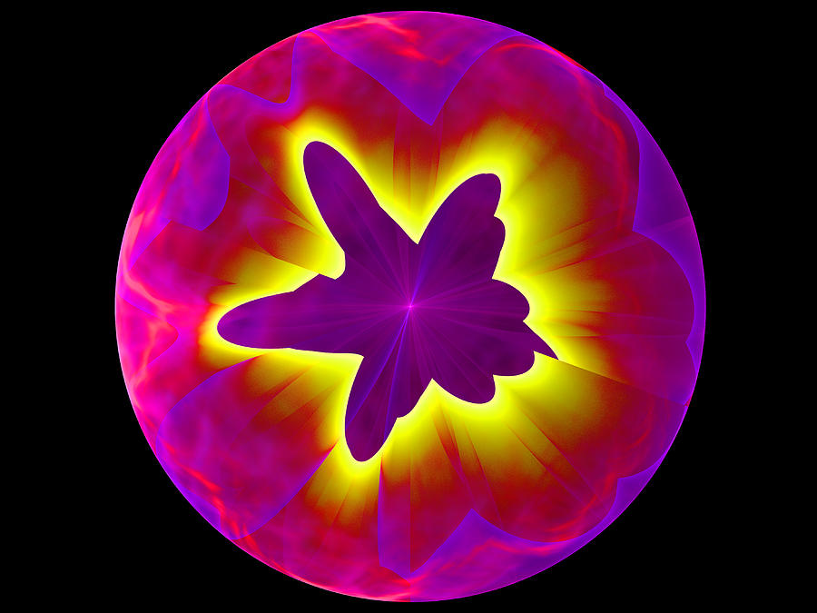 Fractal Pattern Inside a Sphere Digital Art by Ernst Dittmar