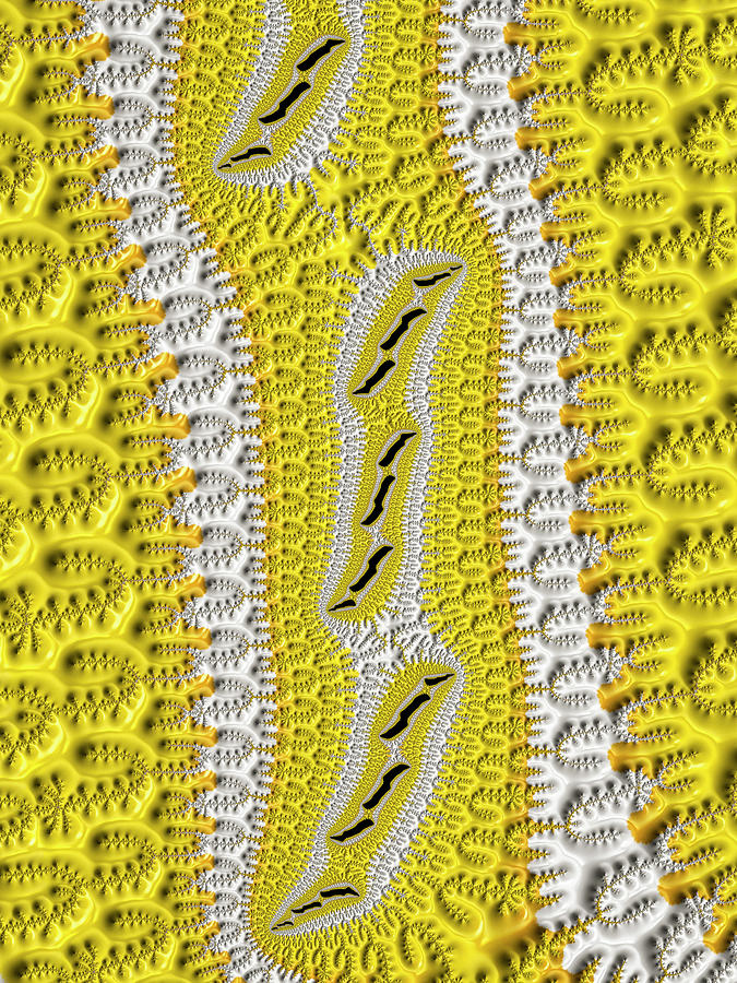 Fractal pattern yellow and white Digital Art by Matthias Hauser