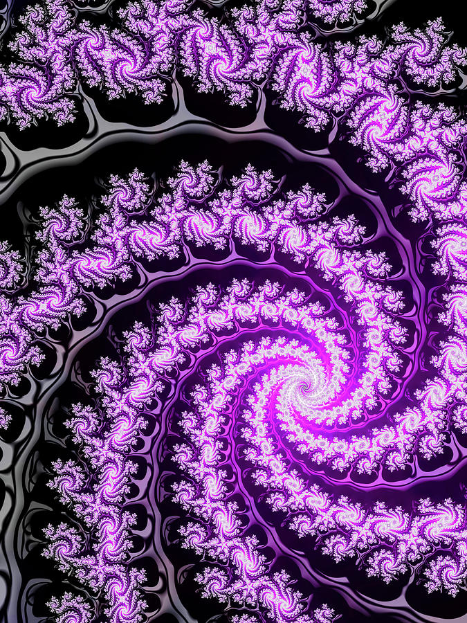 Fractal spiral art black and purple Digital Art by Matthias Hauser