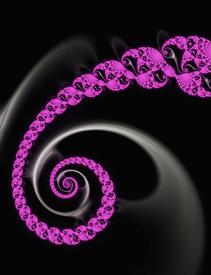 Fractal Spiral Hot Pink and black Digital Art by Matthias Hauser