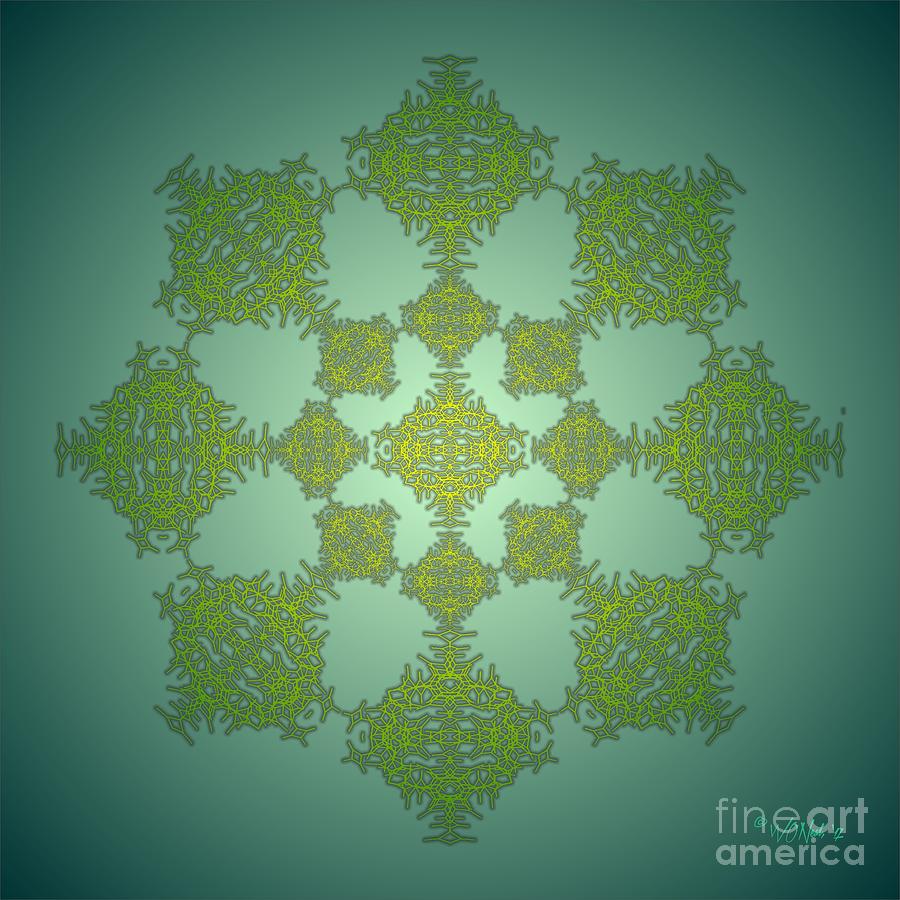 Pattern Digital Art - Fractal Tracery 1B by Walter Neal