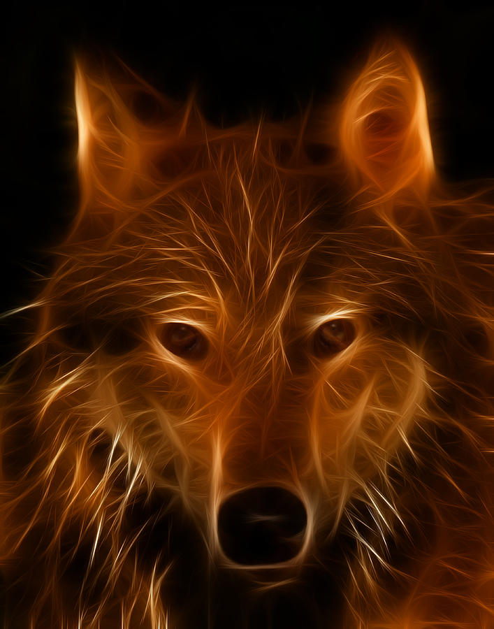 Fractal Wolf Photograph by Wade Aiken