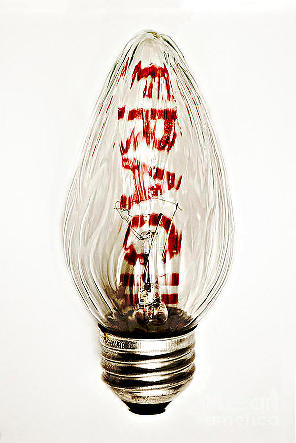 Candle Photograph - Fragile Light Bulb by Kathleen K Parker