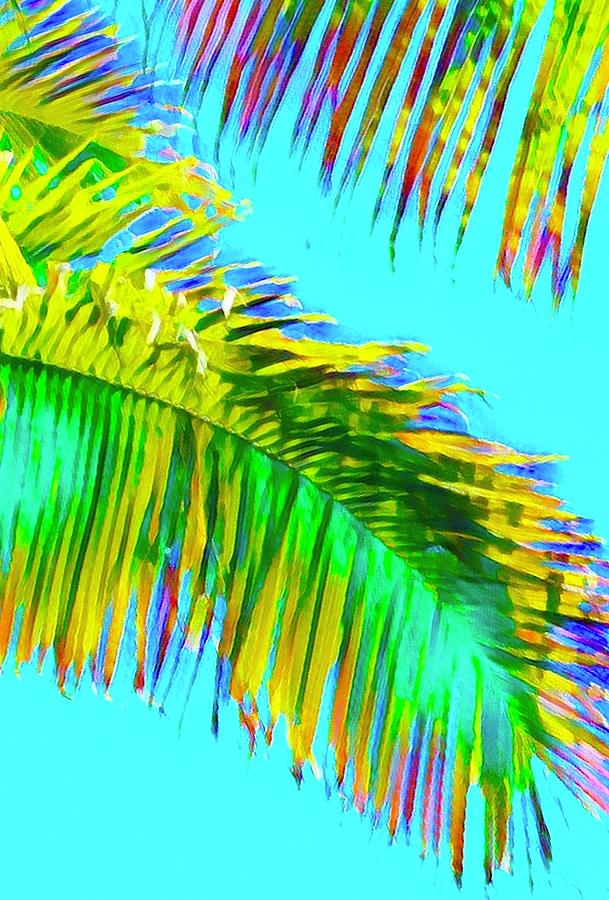 Fragment of Coconut Palm Psychedelic Photograph by Joalene Young