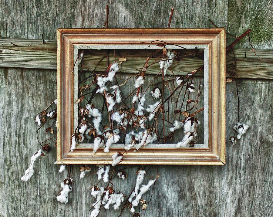 Framed Cotton Painting by Michael Thomas