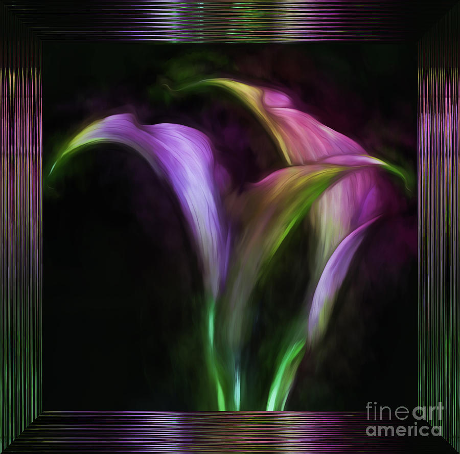 Flower Photograph - Framed Lavender Calla Lilies by Shirley Mangini