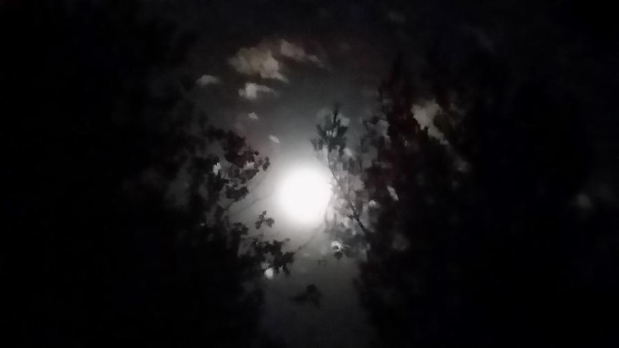 Framed Moon Photograph