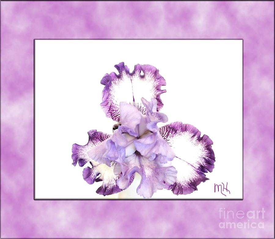 Framed Purple Iris Photograph by Marsha Heiken