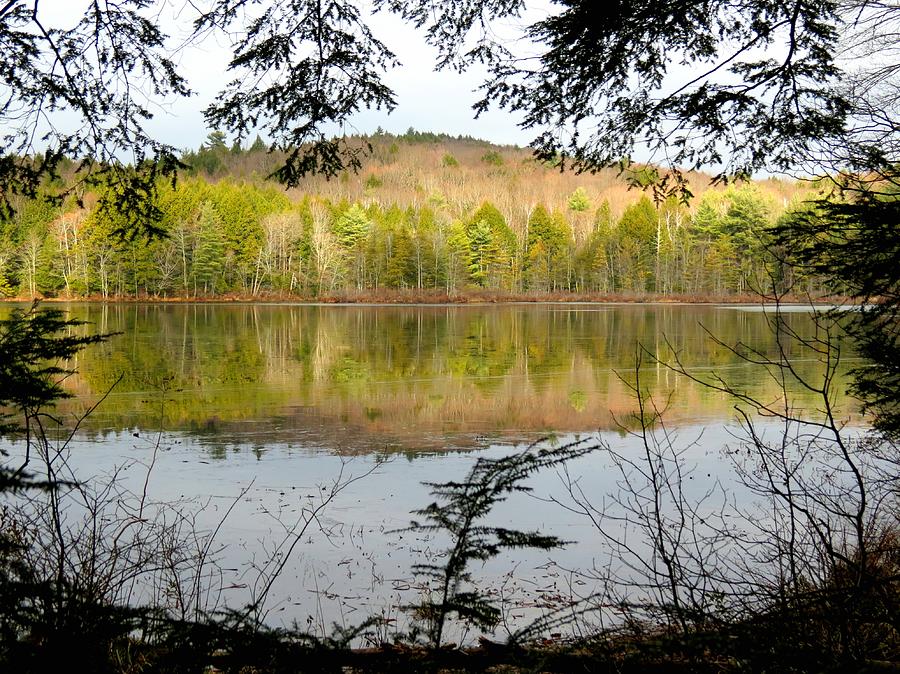 Framed Reflection - Fullam Pond Photograph by MTBobbins Photography