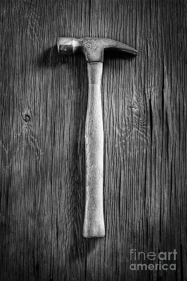 Framing Hammer L Photograph by YoPedro