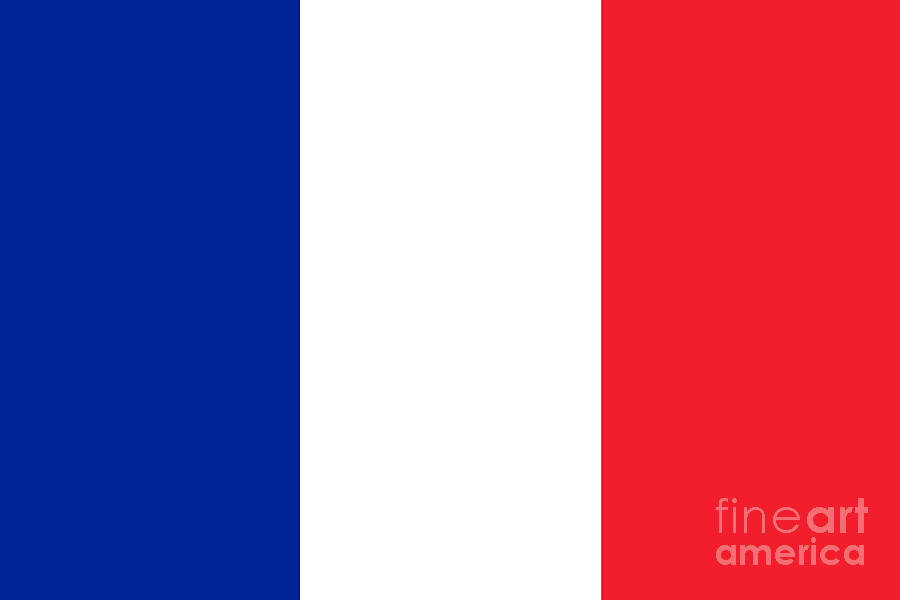 France Flag Digital Art by Henrik Lehnerer