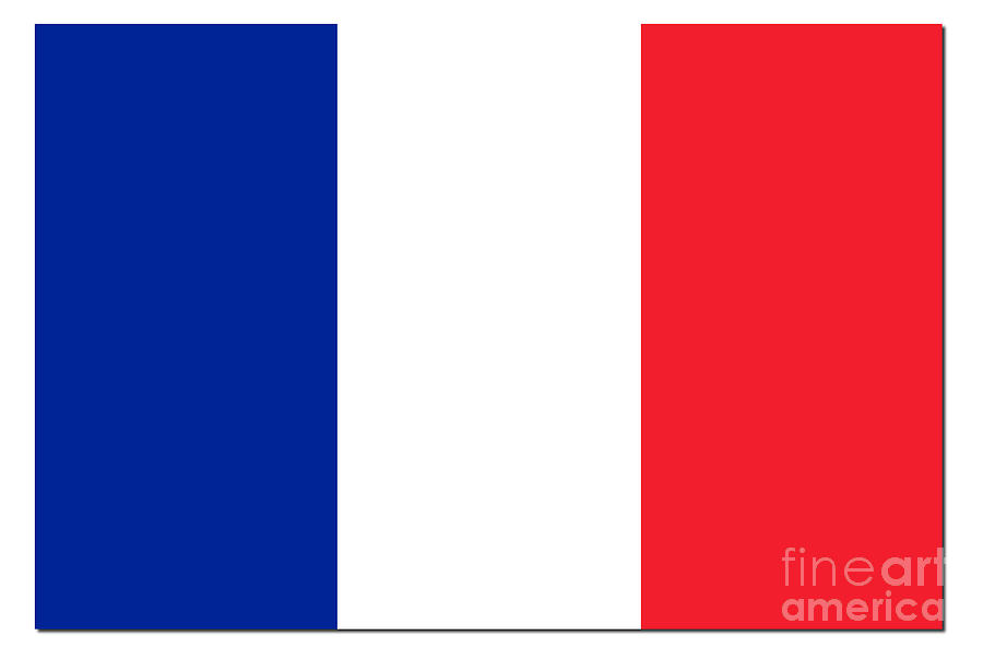 France Flag Shadow Digital Art by Henrik Lehnerer