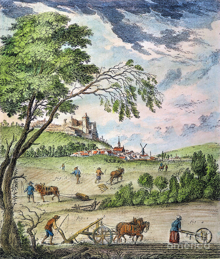 France: Ploughing, 1763 Photograph by Granger