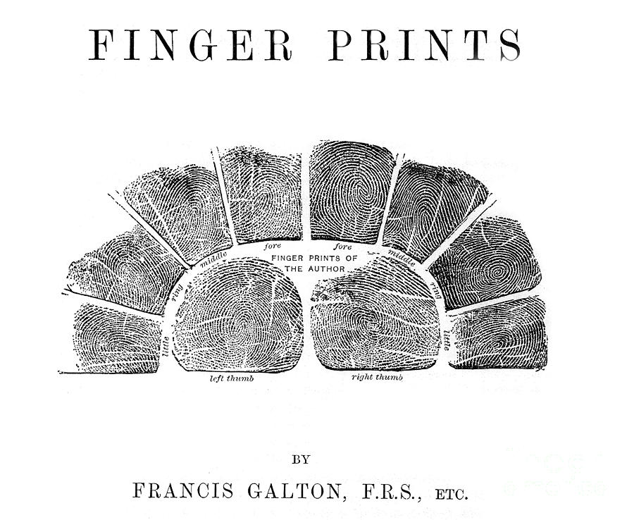 Francis Galtons Fingerprints, 1892 Photograph by Wellcome Images
