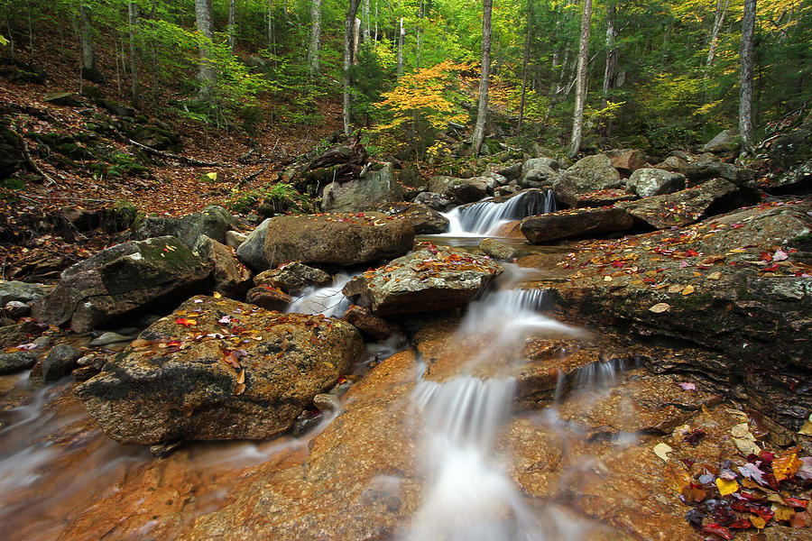 Franconia Notch State Park Photograph by Juergen Roth