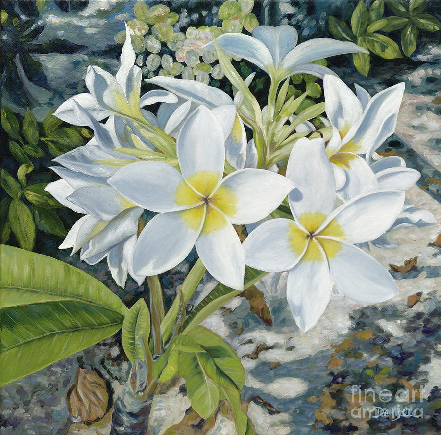 Flowers Still Life Painting - Frangipani by Danielle Perry