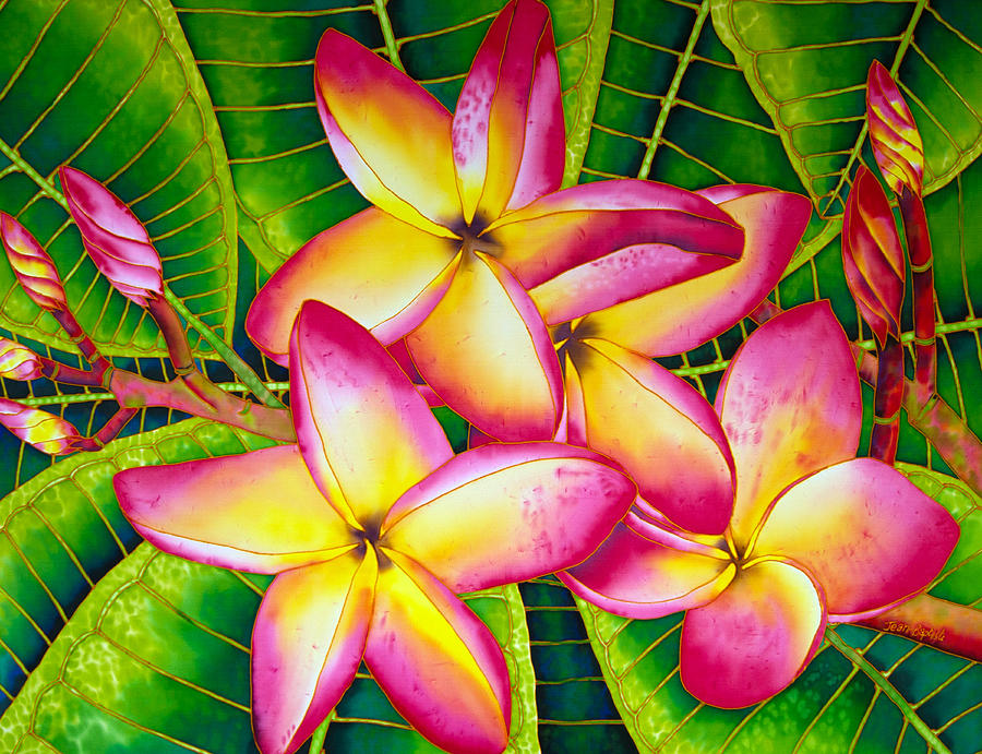 Frangipani Flower Painting by Daniel Jean-Baptiste