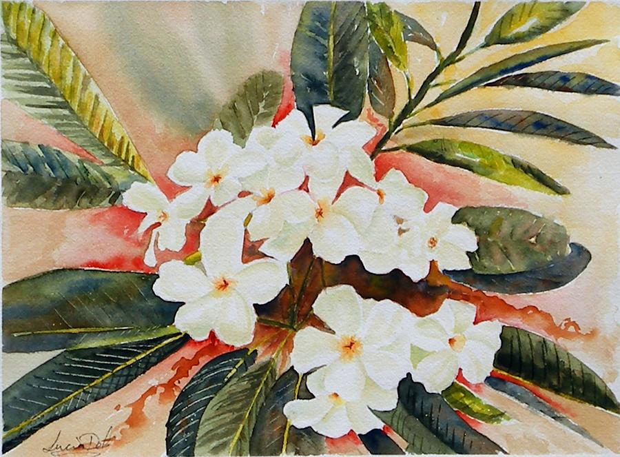 Flowers Still Life Painting - Frangipani by Lucia Del