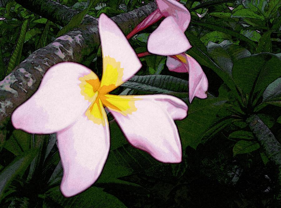 Frangipani Moment by Winsome Gunning Frangipani Moment by Winsome Gunning