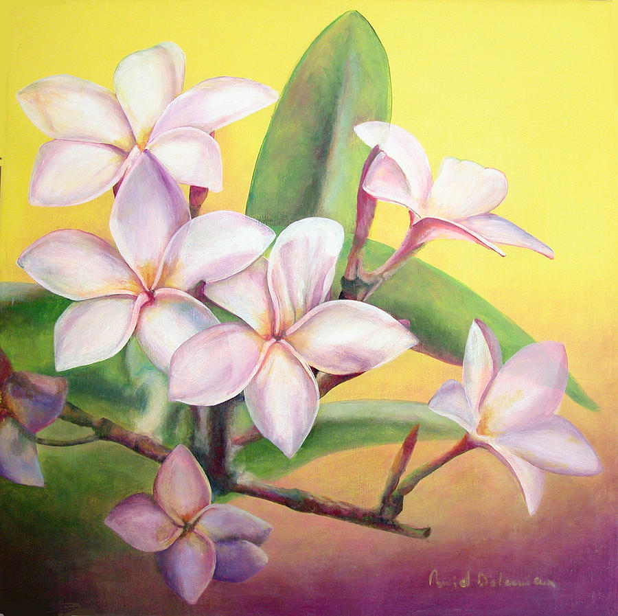 Fleurs Painting - Frangipanier by Muriel Dolemieux Fleurs Painting - Frangipanier by Muriel Dolemieux