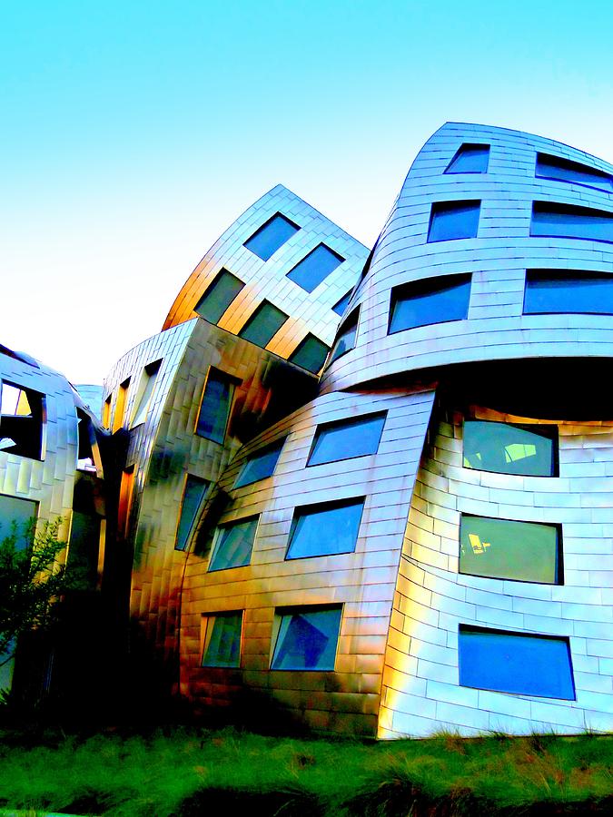 Frank Gehry 3 Photograph by Randall Weidner