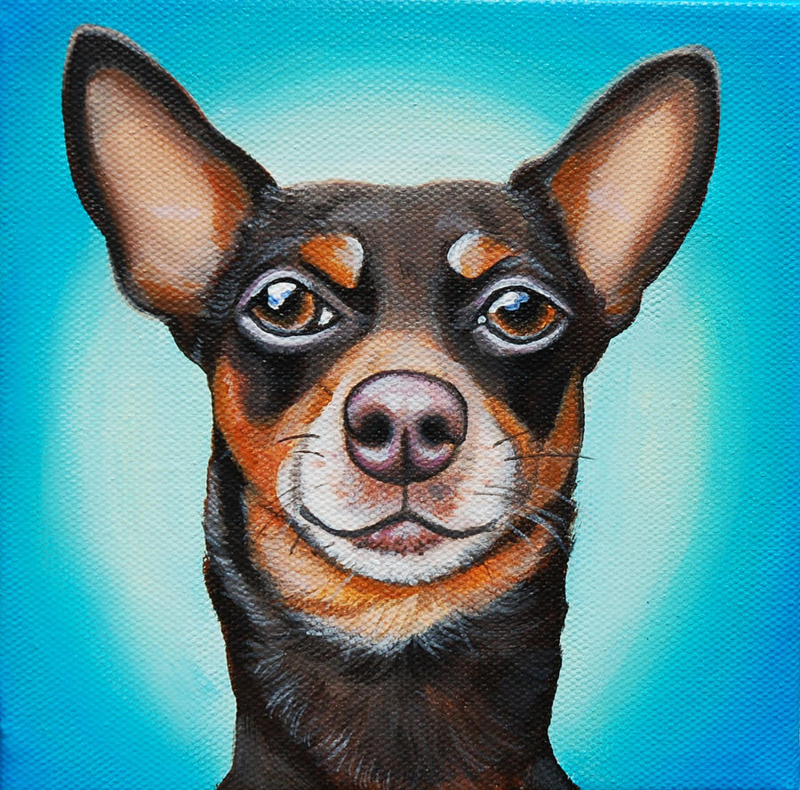 Dog Painting - Frank The Min Pin by Lauren Elizabeth