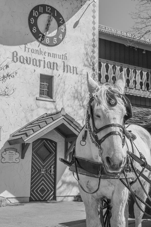 Frankenmuth and Horse Photograph by John McGraw
