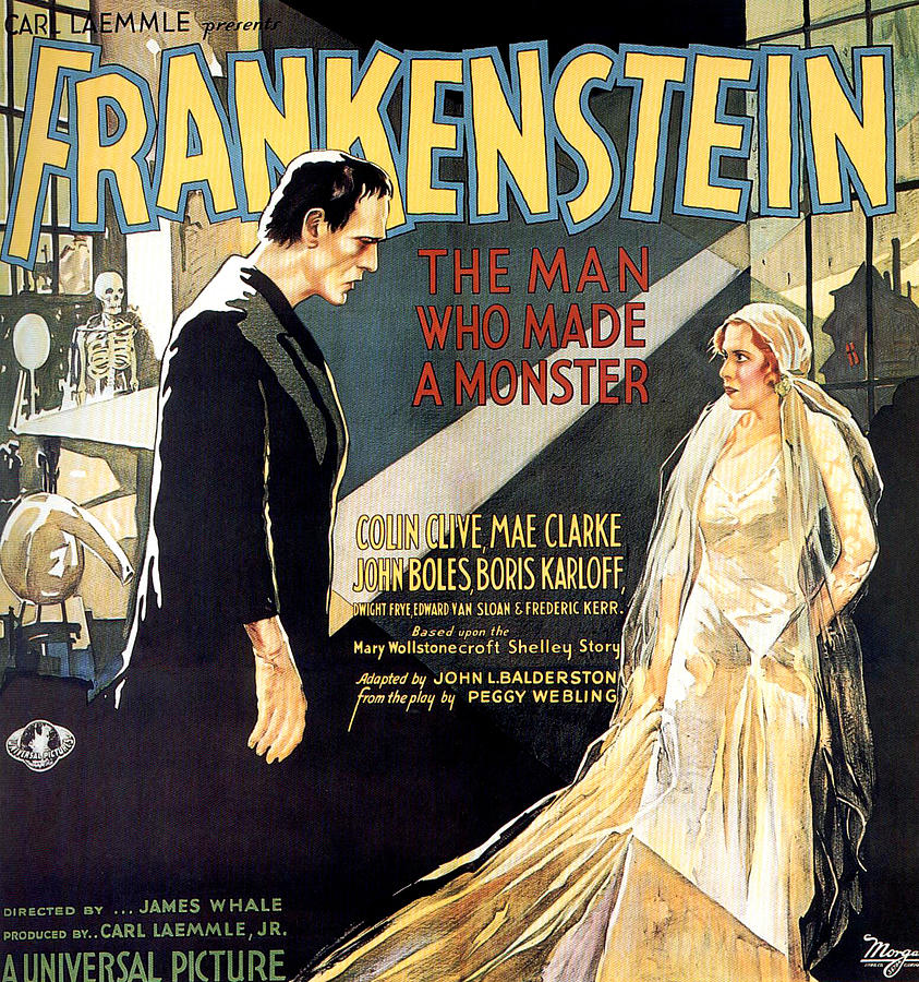 Movie Photograph - Frankenstein, Boris Karloff, Mae Clarke by Everett