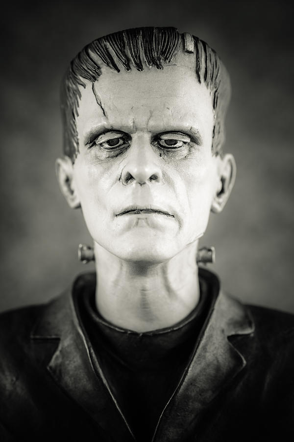 Frankensteins Monster - Boris Karloff II Photograph by Marco Oliveira