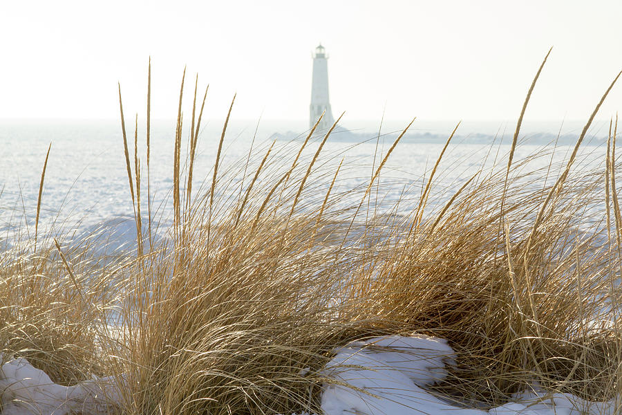 Frankfort North Breakwater Lighthouse through sea grass on dunes Photograph by Karen Foley