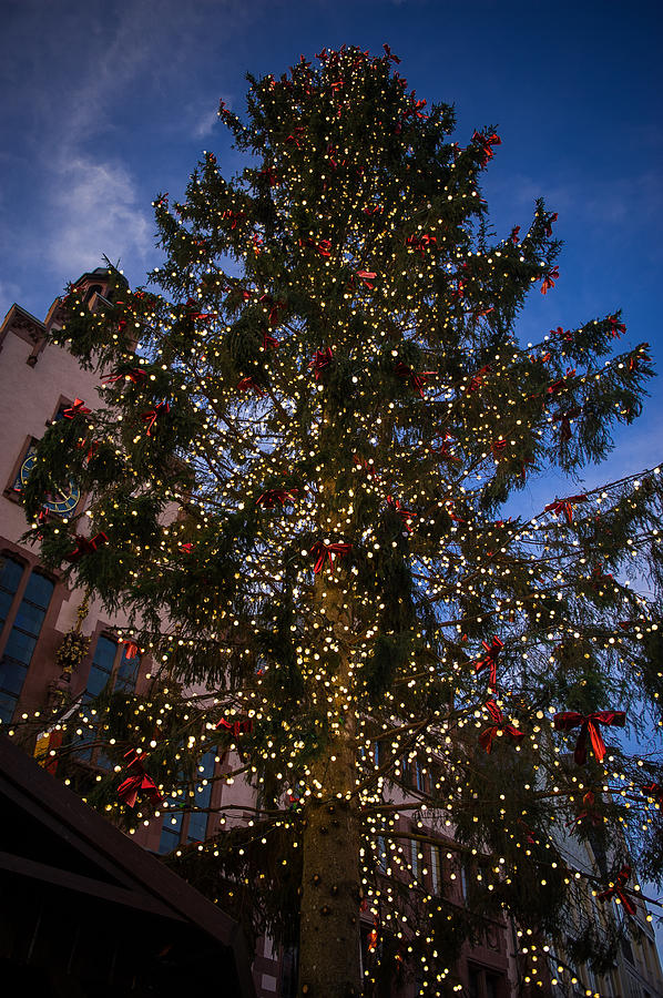 Frankfurt Christmas Tree Photograph by Bill Howard