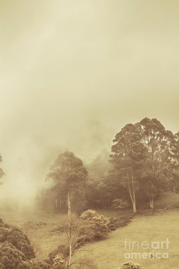 Franklin foggy field Photograph by Jorgo Photography