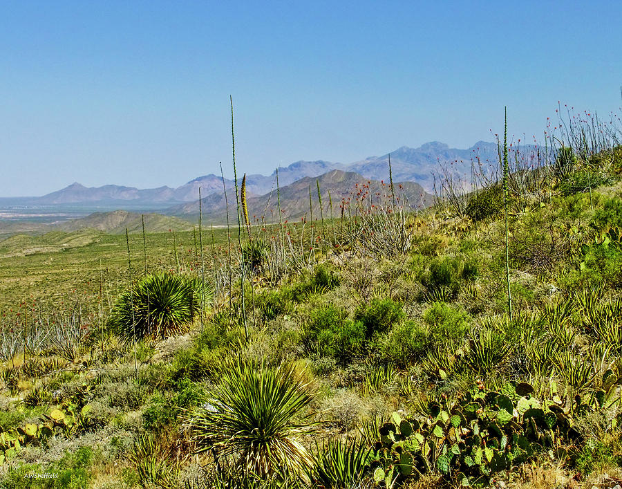 El Paso Photograph - Franklin Mountains State Park Facing North by Allen Sheffield